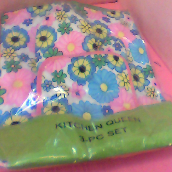 圍裙加隔熱手套組