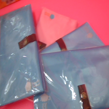 全新護照夾-單售