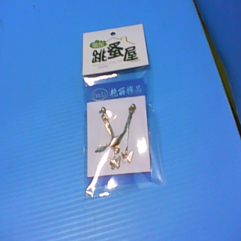 耳環