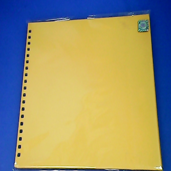 19孔書皮
