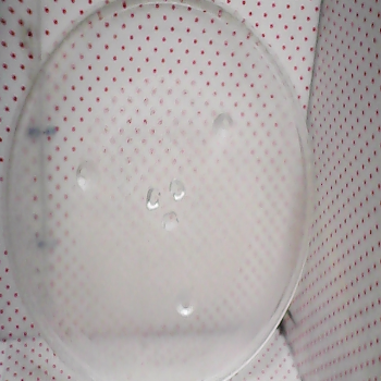 微波爐專用轉盤