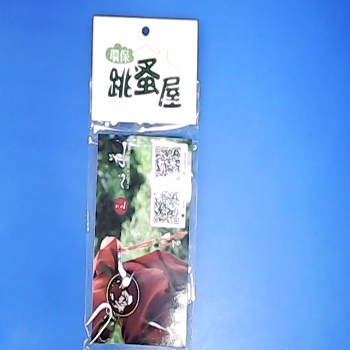 吊飾