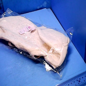 塑身內衣(不試穿)