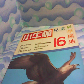 童書 小牛頓