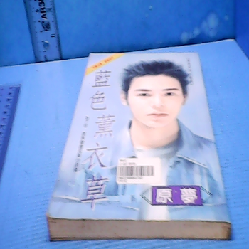 小說
