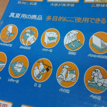 日本 ICEPAD 北極熊