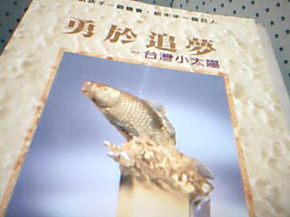 書勇與追夢