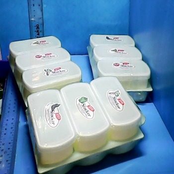 全新保鮮盒-單售